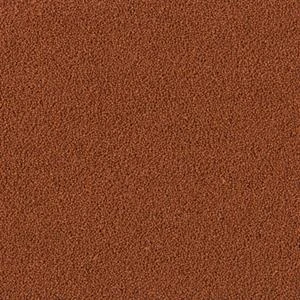 Tropical Discus Gran Colour 5,5 Kg / 10 L Balık Yemi - Resim 2