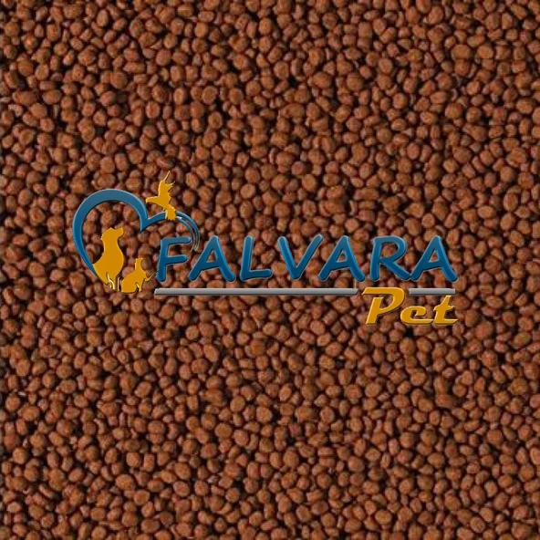 1000 Gram Tropical Cichlid Carnivore Medium Pellet Büyük Granül B - Resim 3