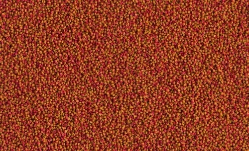 Tetra Cichlid Colour Mini Granules 1 KG Açık - Resim 3