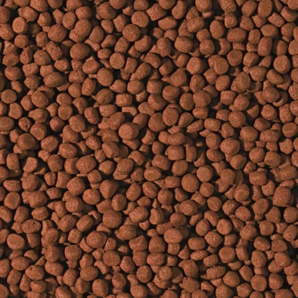 1000 Gram Tropical Cichlid Carnivore Medium Pellet Büyük Granül B ürün görseli 1