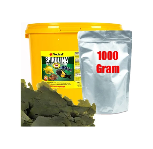 Tropical Süper Spirulina Forte 1000 Gram Pul Yem - Resim 4