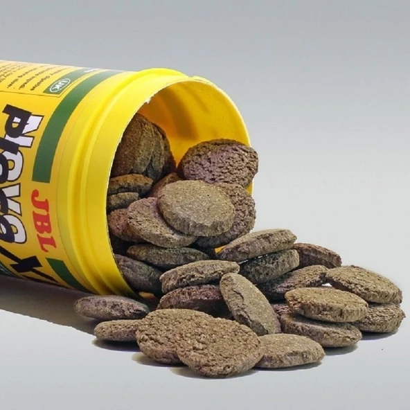 Jbl Novo Pleco Xl Vatoz İçin Tablet Yem 5 5 L 2.750 KG - Resim 2