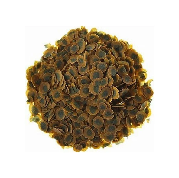 Tetra Pro Algae 100 Gam Kovadan Bölme ürün görseli 1