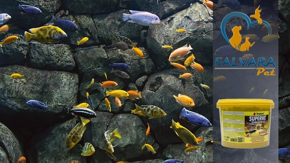 500 Adet Tropical Süpervit A Tablets Kovadan Bölme Tablet Balık Y - Resim 5