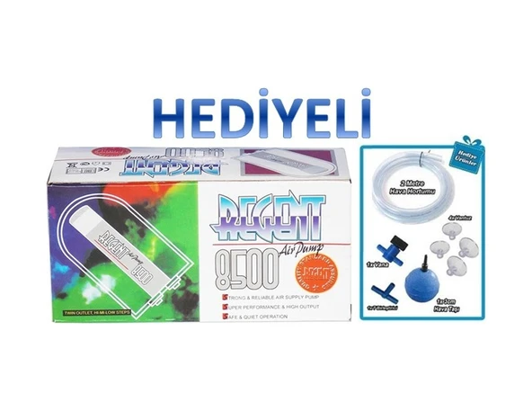 Regent 8500 Hava Motoru Çift Çıkış+Hava Seti ürün görseli 1