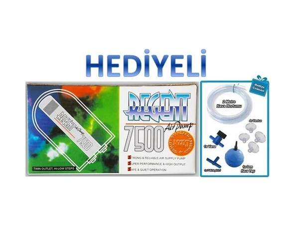 Regent 7500 Çift Çıkışlı Hava Motoru + Hava Seti ürün görseli 1