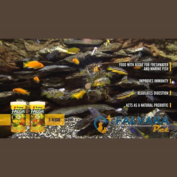 Tropical 3 Algae Tablets B Tablet Balık Yemi 100 G - Resim 5