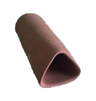 Birevcil Cüce Vatoz Yavruluğu 5 Adet - Resim 3