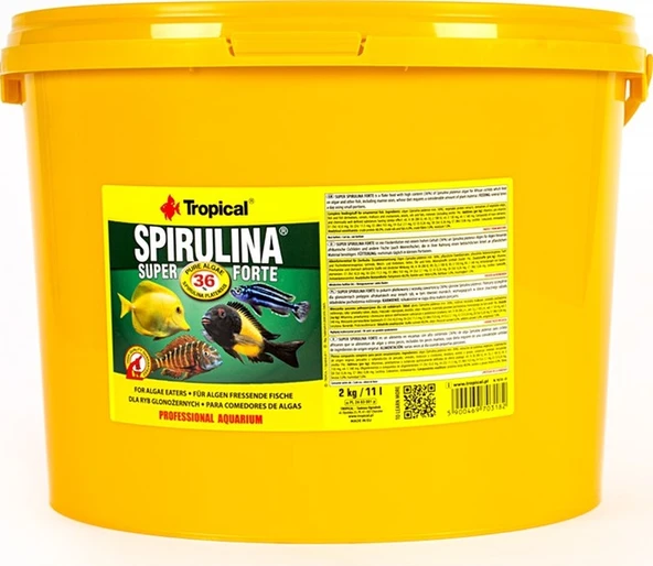 Tropical Süper Spirulina Forte 1000 Gram Pul Yem - Resim 3