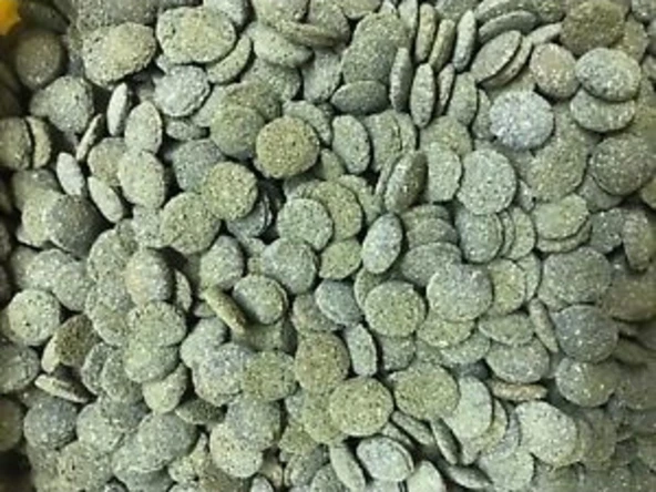 Jbl Novo Pleco Vatoz için Tablet Yem 1000 G Kovadan Bölme - Resim 4