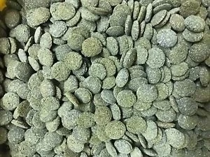 Jbl Novo Pleco Vatoz için Tablet Yem 100 G Kovadan Bölme - Resim 4