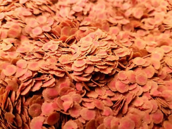 Tetra Pro Colour 500 Gam Kovadan Bölme Balık Yemi - Resim 2