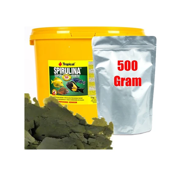 Tropical Süper Spirulina Forte 500 Gram Pul Yem - Resim 3