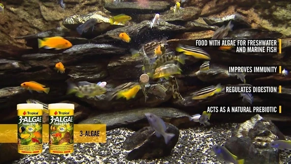 100 Adet Tropical 3-Algae Tablet A Kovadan Bölme Balık Yemi - Resim 4