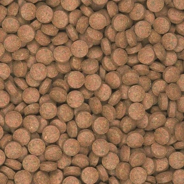 Tropical Süpervit B Tablets Tablet Balık Yemi 250 G - Resim 2