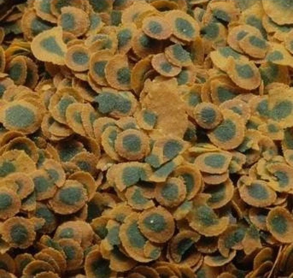 Tetra Pro Algae 100 Gam Kovadan Bölme - Resim 2