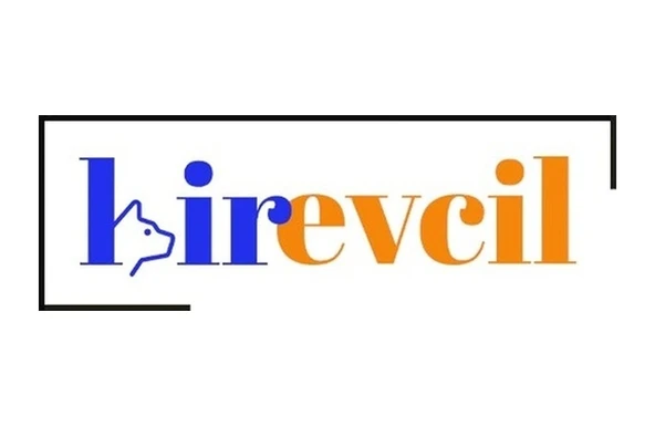 Birevcil Orta Boy Doğal Küp  10-12 Cm Akvaryum  Dekoru - Resim 3