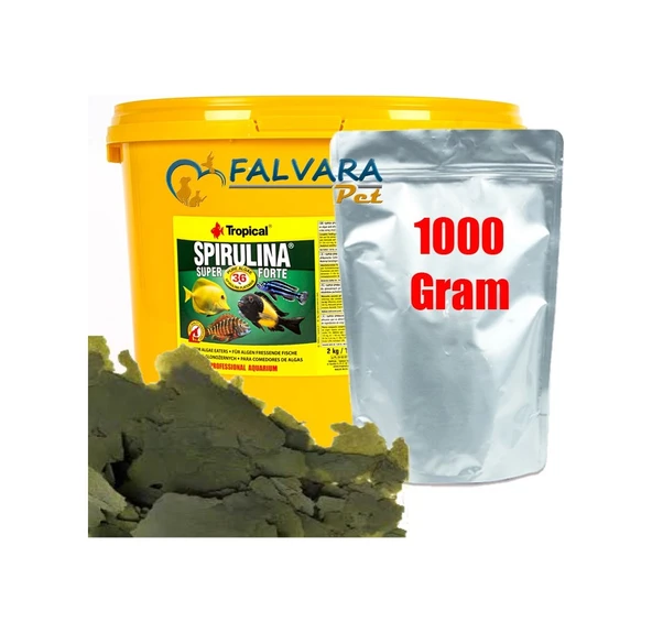 Tropical Süper Spirulina Forte 1000 Gram Pul Yem ürün görseli 1