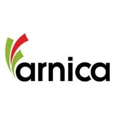 Arnica AA176G 2600 Plus 2600 W Buharlı Ütü - Resim 4