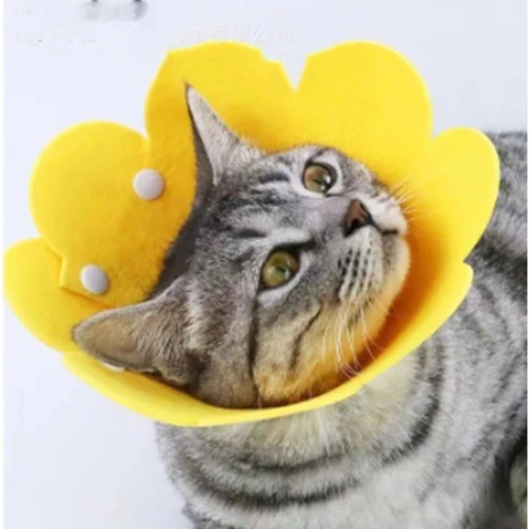 Evcil Hayvan M Boy Keçe Elizabeth Yakalığı ürün görseli 1