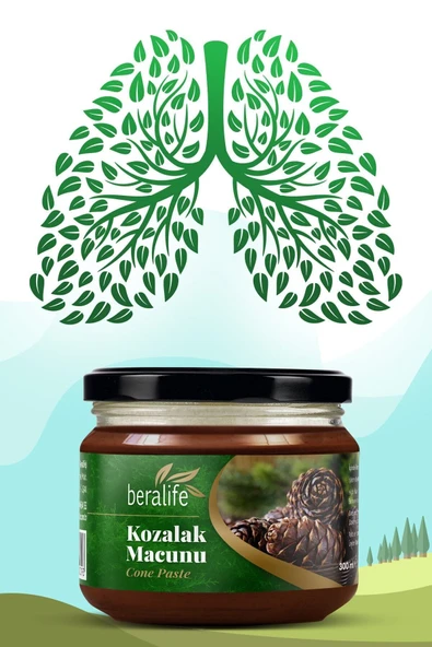 Kozalak Macunu - 300gr Kozalak Macunu ürün görseli 1