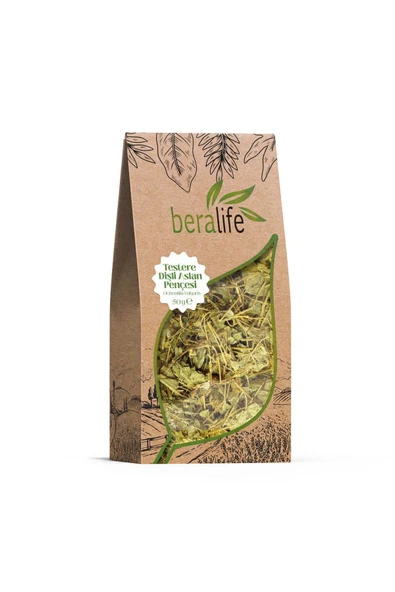 Testere Dişli Aslan Pençesi - 50gr Testere Dişli Aslan Pençesi - Resim 3