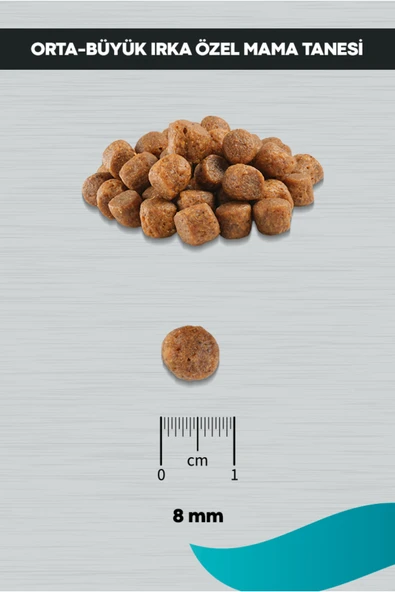 PERİTAS Signature Kuzulu Orta ve Büyük Irk Yavru Köpek Maması 3 Kg - Resim 4