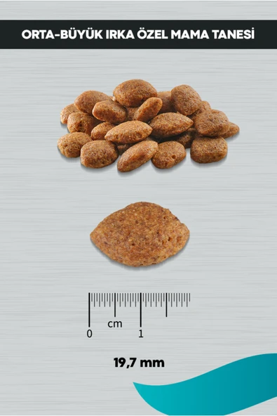 PERİTAS Signature Kuzulu Orta ve Büyük Irk Yetişkin Köpek Maması 3 KG - Resim 4