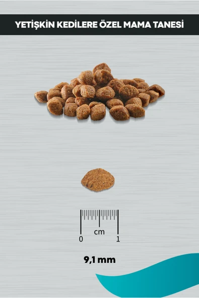 PERİTAS Signature Somonlu Yetişkin Kedi-Tüy Yum. Önl. 10 kg - Resim 4