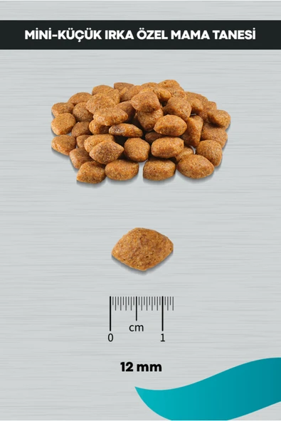 PERİTAS Signature Kuzulu Küçük Irk Yetişkin Köpek Maması -3 Kg - Resim 4