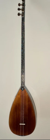 Profesyonel Yaprak Ardıç Uzun Sap Bağlama ürün görseli 1