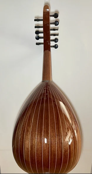 Profesyonel Ud - Resim 2