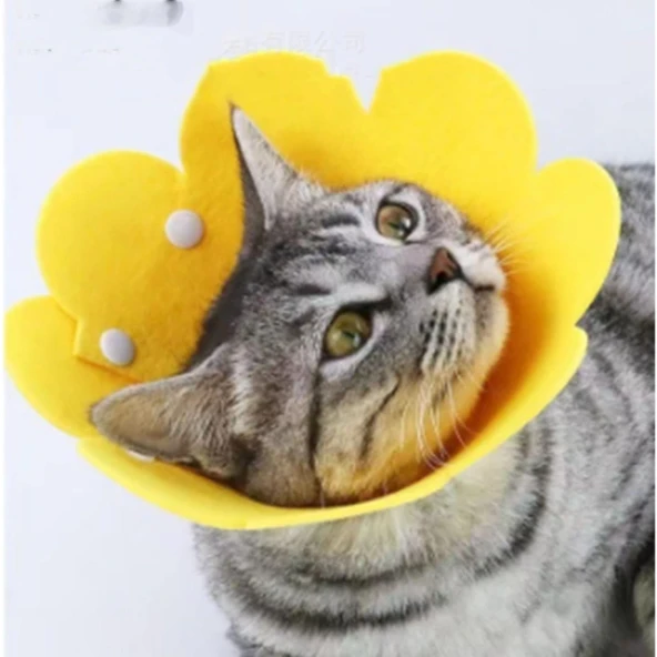 Evcil Hayvan M Boy Keçe Elizabeth Yakalığı - Resim 5