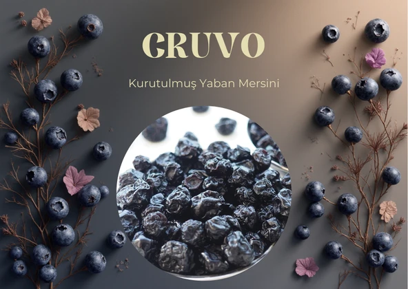 Yaban Mersini Kurutulmuş 100 GR - Resim 2