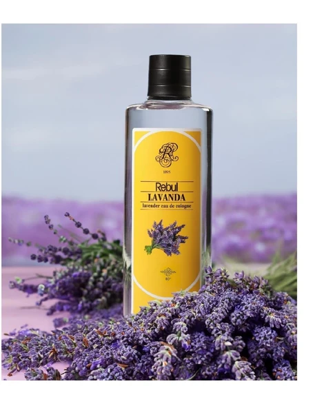 REBUL KOLONYA 250ML LAVANTA ürün görseli 1