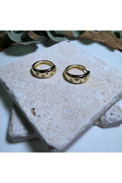 nesdesign 14K Özel Seri Gömülü Taşlı Şık Küpe - Resim 2