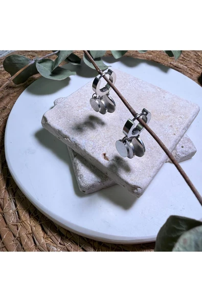 nesdesign Çelik Yuvarlak Plakalı Sallantılı Küpe - Resim 2