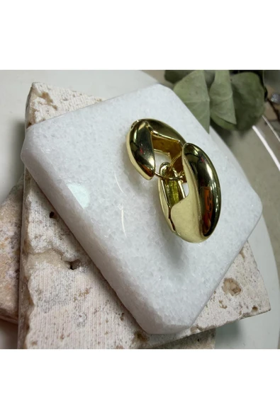 nesdesign Altın Kaplama Zarif Gold Küpe ürün görseli 1