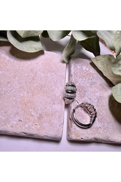 nesdesign 14K Özel Seri Zarif Taşlı Küpe (Gümüş Renk) - Resim 2