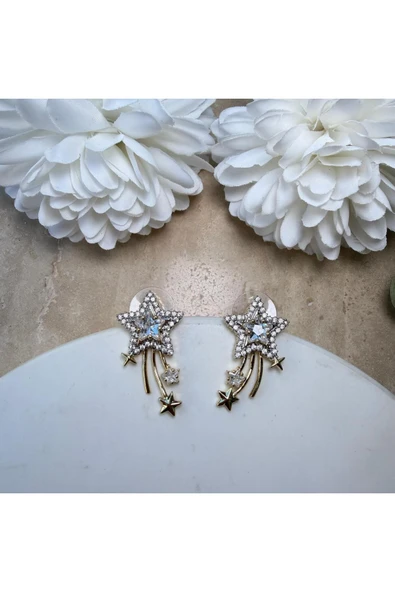 nesdesign Kuyruklu Yıldız Küpe - Resim 3