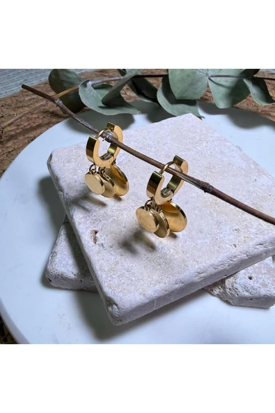 nesdesign Çelik Yuvarlak Plaka Sallantılı Gold Küpe ürün görseli 1