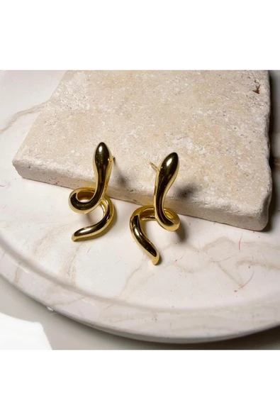 nesdesign Çelik Kıvrım Model Zarif Gold Küpe ürün görseli 1