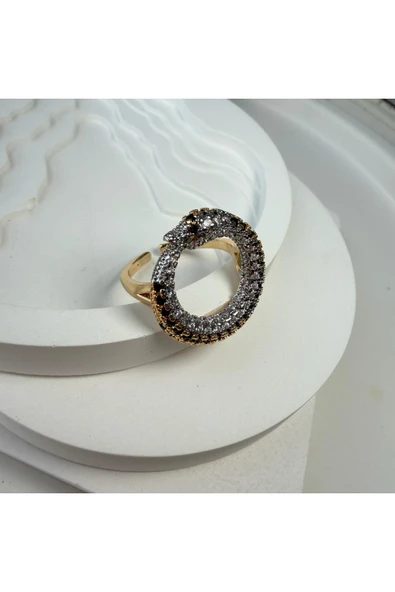 nesdesign Taşlı Şık Ouroboros Yüzük - Resim 3