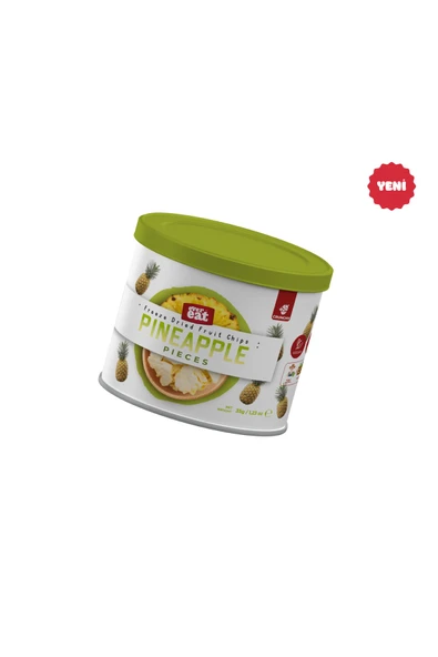 Dondurularak Kurutulmuş Freeze Dried Teneke Kutu Çıtır Ananas - Resim 2