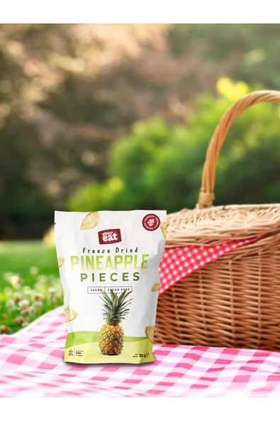 Ananas Kuru Meyve Cipsi 20 G X 5 Adet Dondurularak Kurutulmuş Meyve - Resim 2