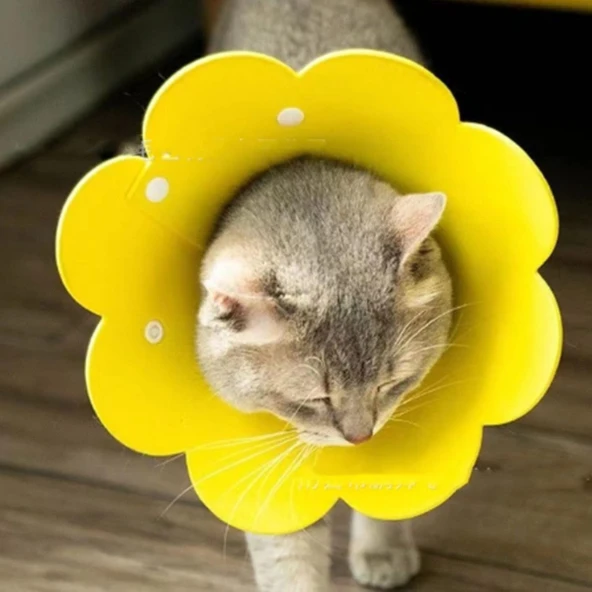 Evcil Hayvan XL Boy Keçe Elizabeth Yakalığı - Resim 5