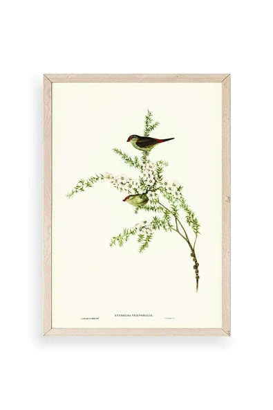 Daldaki Kuş Ahşap Çerçeveli Tablo 17 x 23 ürün görseli 1