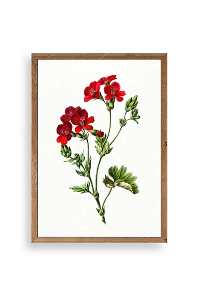 Çiçekler Ahşap Çerçeveli Tablo 50 x 70 ürün görseli 1