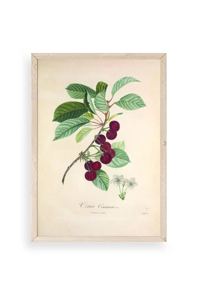Meyveler Ahşap Çerçeveli Tablo 17 x 23 ürün görseli 1