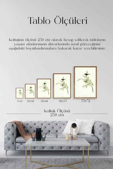 Daldaki Kuş Ahşap Çerçeveli Tablo 23 x 30 - Resim 5
